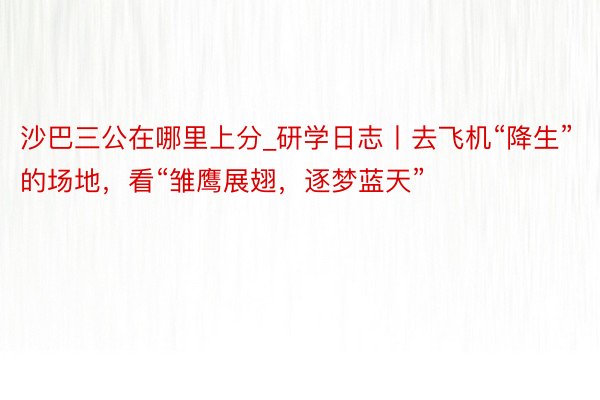 沙巴三公在哪里上分_研学日志丨去飞机“降生”的场地，看“雏鹰展翅，逐梦蓝天”