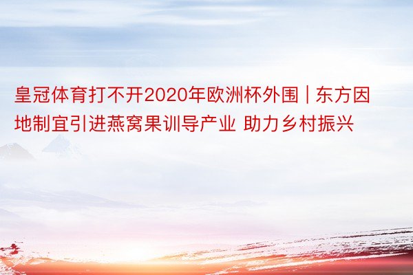 皇冠体育打不开2020年欧洲杯外围 | 东方因地制宜引进燕窝果训导产业 助力乡村振兴